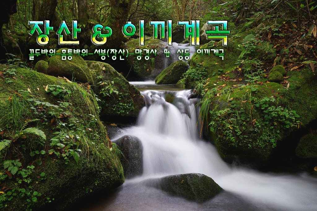 상동 장산 야영장 이미지
