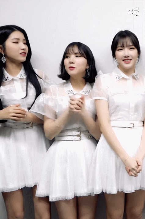 새해 첫날부터 개드립치는 여자친구 은하.gif | 인스티즈