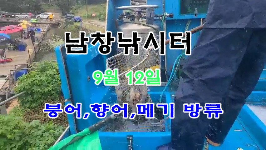 붕어랑메기랑 이미지