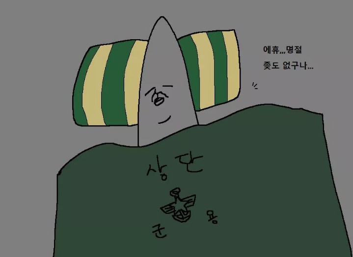 군대에서의 설날 만화 | 인스티즈