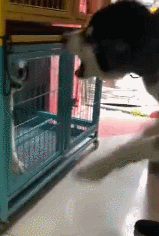 온라인vs오프라인.GIF | 인스티즈