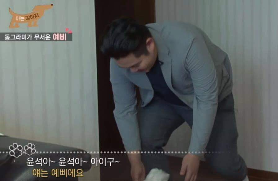 강아지 조련사 가정방문 대참사 | 인스티즈