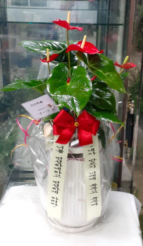 변호사임영곤법률사무소 이미지
