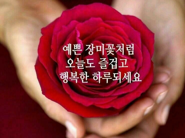 소은 이미지
