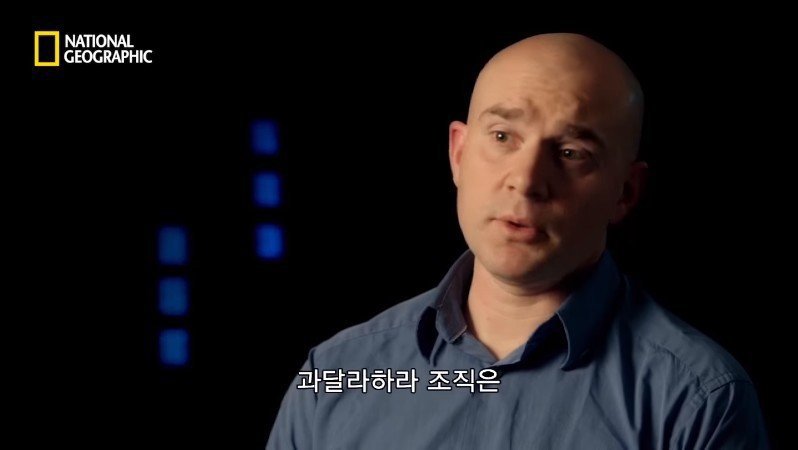 80년대 부자의 상징 코카인?.JPG | 인스티즈
