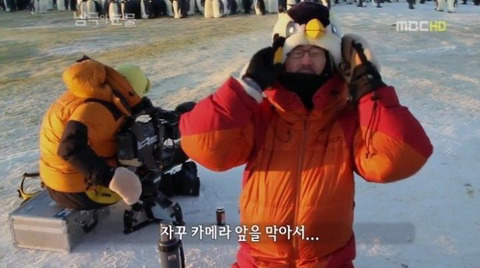 짱귀탱인 남극의 눈물 촬영 당시 펭귄들.gif | 인스티즈