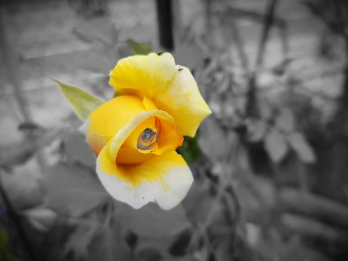 99AC32505CDCA90F2E2AD7