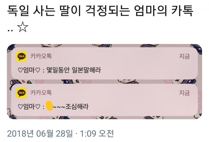 독일 사는 딸이 걱정되는 엄마의 카톡 | 인스티즈