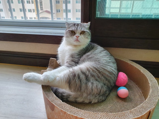 행복반찬 이미지