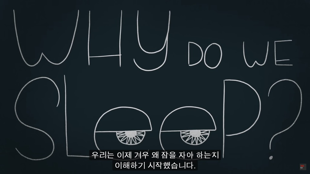 잠을 자지않는다면 우리몸에 어떠한 변화가 일어날까?.JPG | 인스티즈