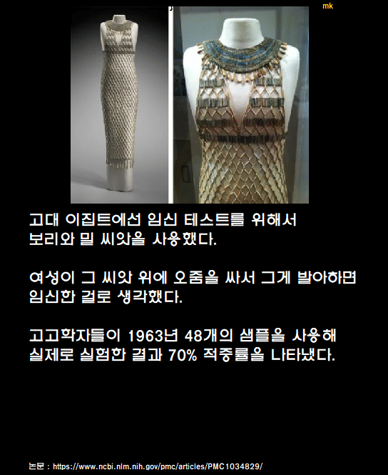 고대 이집트의 임신 테스트 | 인스티즈