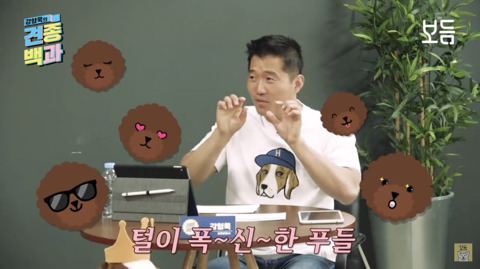 강형욱이 말하는 푸들의 귀여움.jpg | 인스티즈