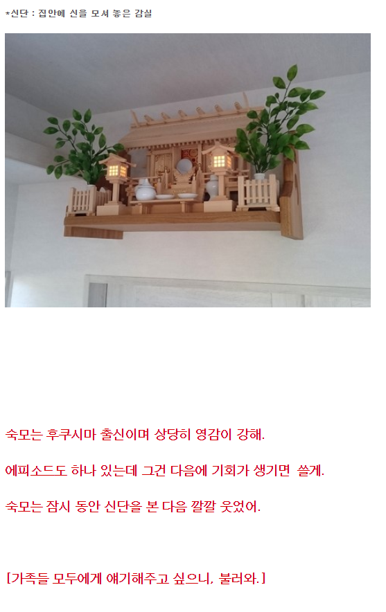 2ch) 누나에겐 신 견습생이 붙어있다 (feat. 짱덕한 너구리 신님) | 인스티즈