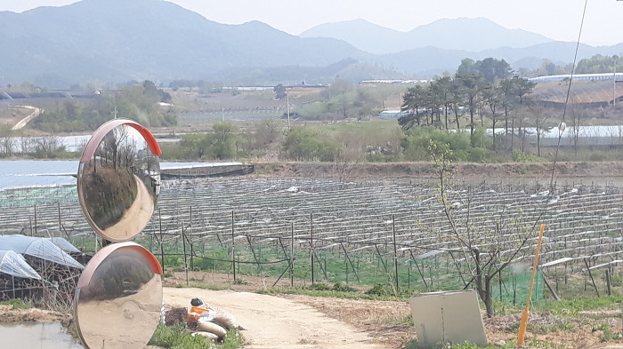 포도밭집 이미지