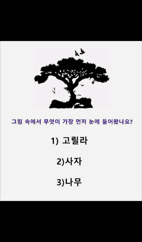 따분한 오후 심리테스트 모음 | 인스티즈