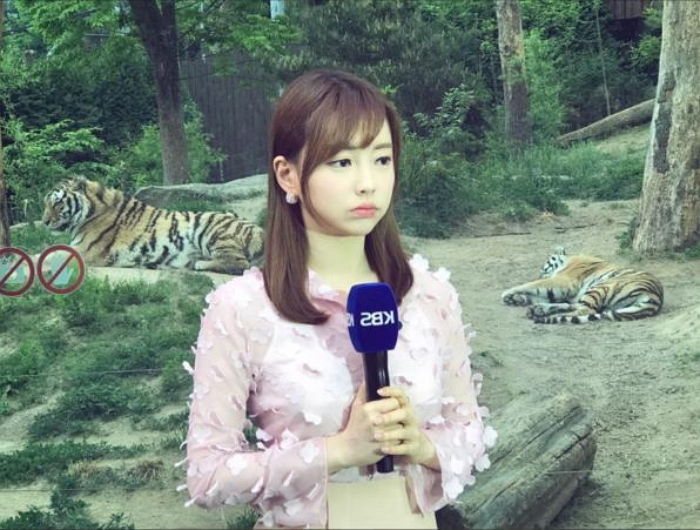 각 방송사 기상캐스터들 | 인스티즈