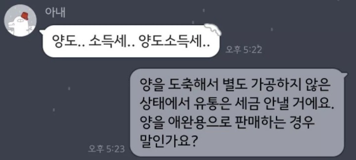 우리나라에서 양키우기 왜 어려운지알아요? | 인스티즈