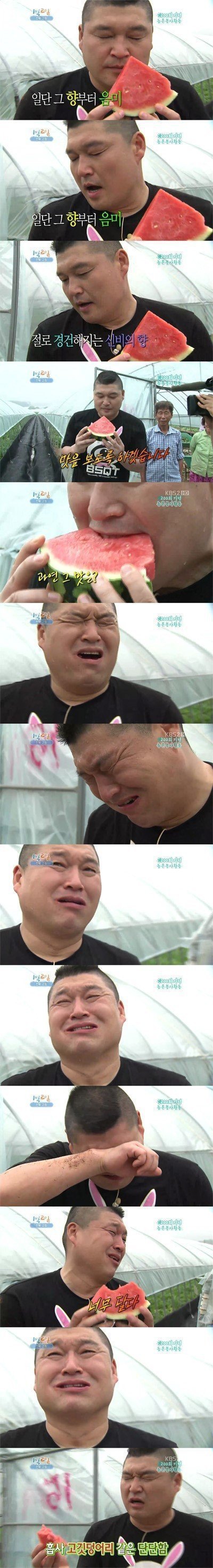 호불호 있는 강호동식 먹방 | 인스티즈