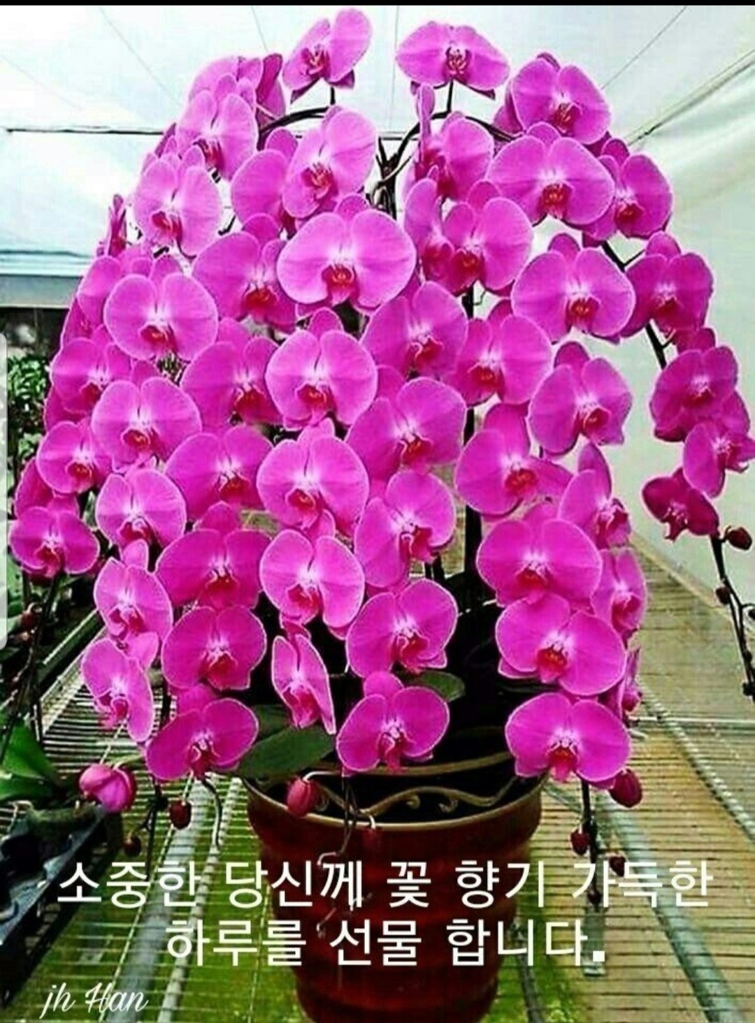멋진하루 이미지