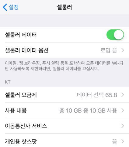 아이폰에서 자신의 요금제 확인하는 방법 팁 | 인스티즈