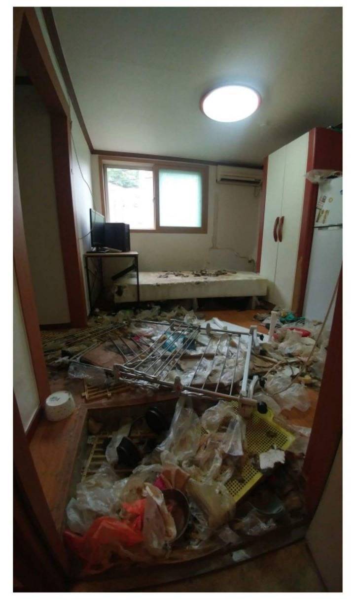 고양이카페 망하자 원룸에 가두고 죽게 만듬 (모자이크 된 사체사진 주의) | 인스티즈