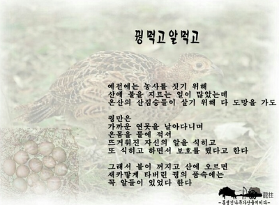 꿩먹고알먹고 이미지