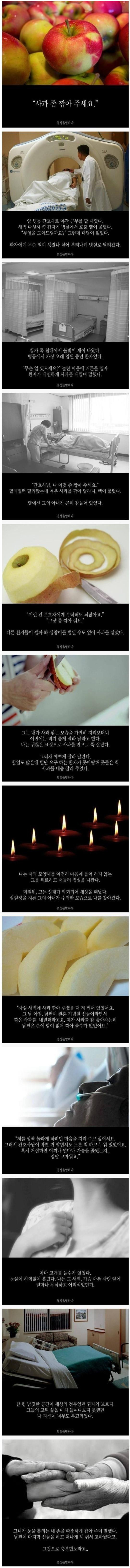 사과좀 깎아주세요 | 인스티즈