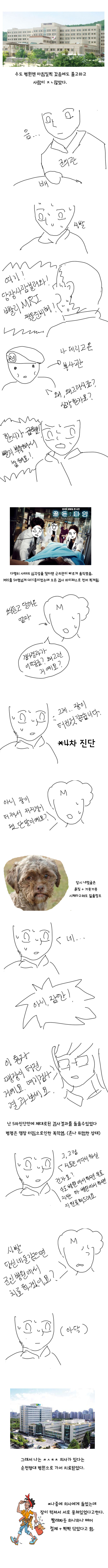 군대에서 맹장터진 만화.jpg | 인스티즈