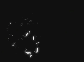 디지몬에서 간지났던 진화 .gif | 인스티즈