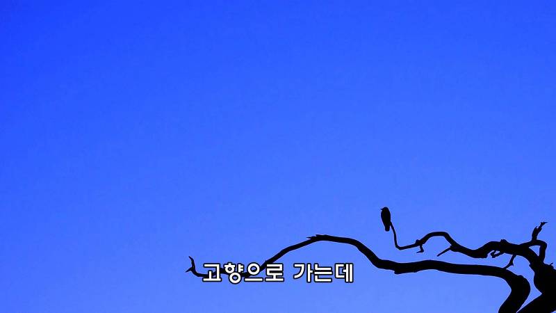 한오백년 이미지