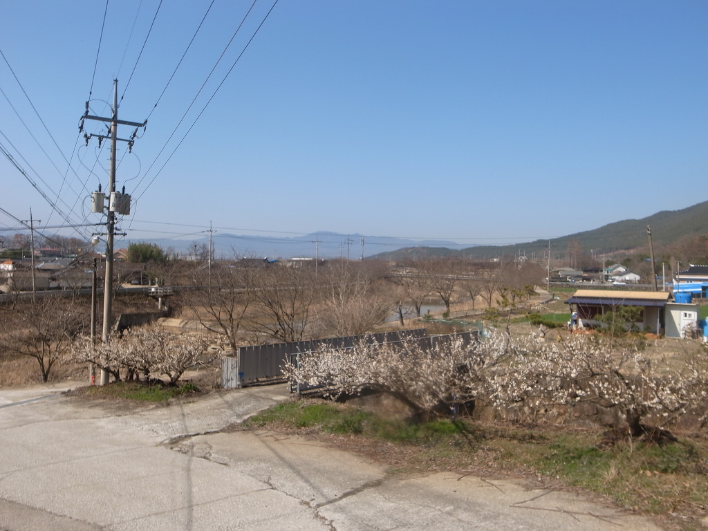단산집 이미지