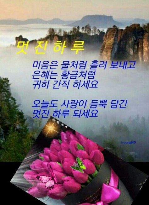 호박이넝쿨채로 이미지