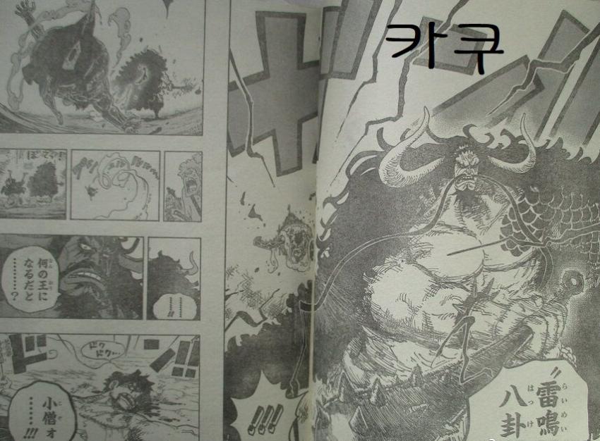[원피스] 드레스 로자 도플 패밀리는 카이도 방망이에 얼마나 버틸수 있을까? | 인스티즈