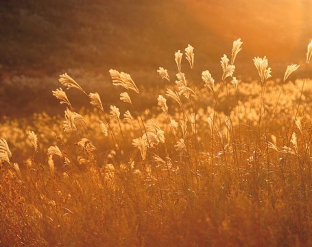 아파트에서 투신한 50대 여성...60대 남성위로 떨어져 둘다 사망..jpg | 인스티즈