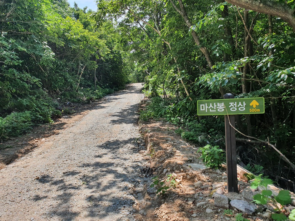정상 정자 이미지