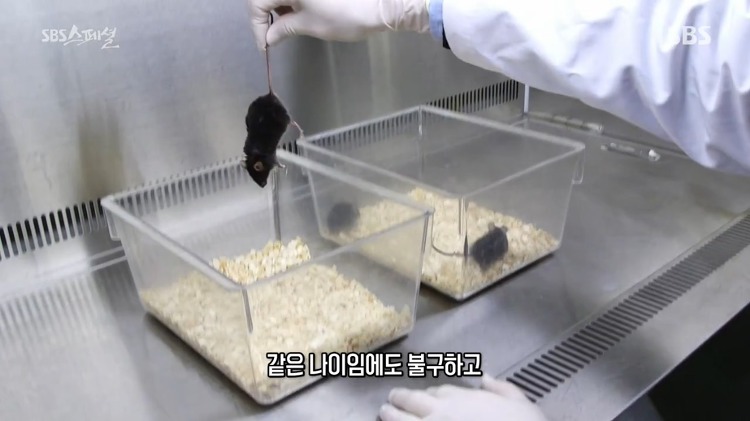 살이 찌는 건 호르몬의 문제다 라고 말하는 다큐멘터리.jpg | 인스티즈