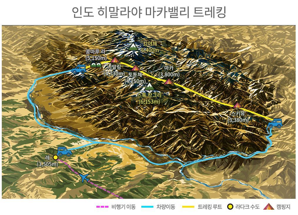콩마루 이미지
