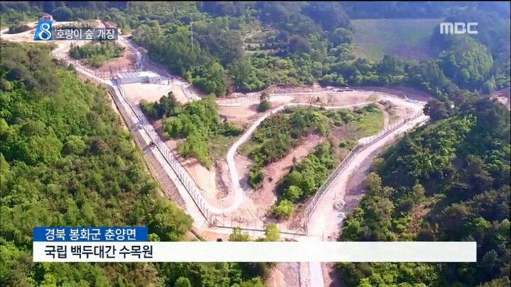 경북의 호랑이판 쥬라기 공원 | 인스티즈