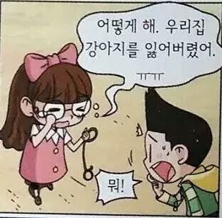 강아지 좀 찾아주세요 | 인스티즈