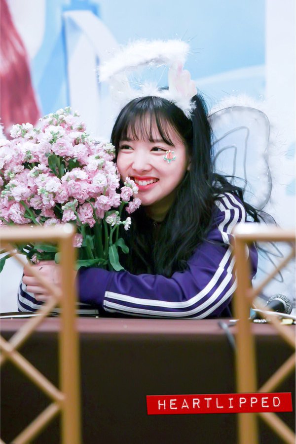 누가 나연이고 뭐가 꽃이지? | 인스티즈