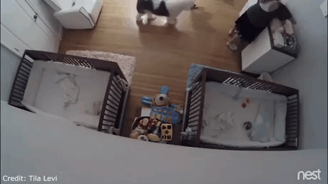 떨어지는 동생 구한 오빠.gif | 인스티즈