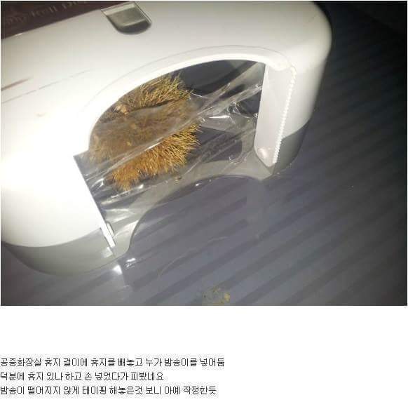 공중화장실 싸이코패스.jpg | 인스티즈