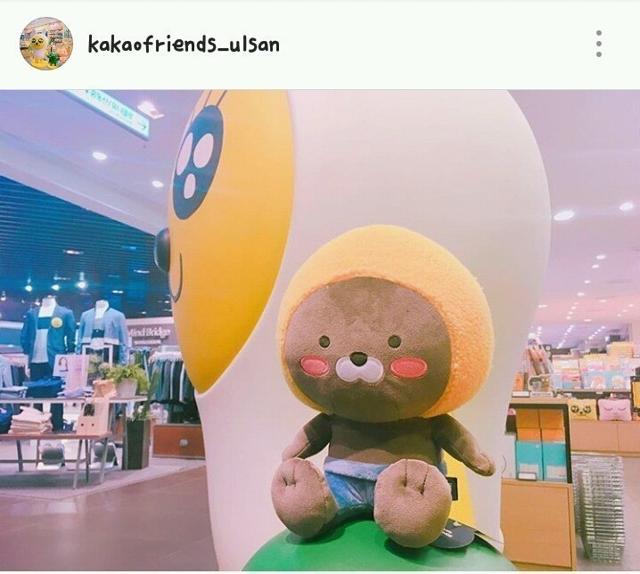 제이지 이미지