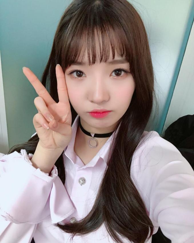 주인보다 먼저 유명세를 탄 고양이 | 인스티즈